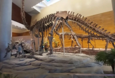 Eksplorasi Wisata Edukasi Terbaru di Solo, dan Atraksi Robot Pintar Tahir Solo Museum