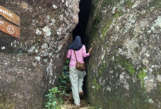 Menaklukkan Gunung Api Purba Nglanggeran, Pendakian Singkat dengan Sensasi Celah Batu Raksasa