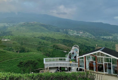 Eksplorasi Karanganyar, Ini Rekomendasi Destinasi Wisata Paling Ramah di Kantong