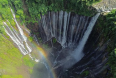 Keajaiban Alam hingga Edukasi Satwa Masukk Daftar Destinasi Wisata Jawa Timur