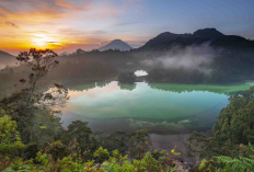 Menjelajahi Pesona Destinasi Teranyar di Dataran Tinggi Dieng Paling Cocok Buat Liburan Keluarga