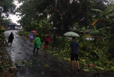 59 Titik Longsor Terjadi di DIY, BPBD Siagakan 36 Personel TRC dan 125 Brimob