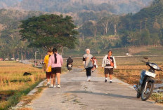 Menikmati Pesona Bukit Menoreh view Nanggulan Hamparan Sawah dan Senja di Kulonprogo