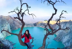 Jelajah Pesona Ujung Timur Jawa Menarik Dekat De Djawatan Banyuwangi dari Kawah Ijen 