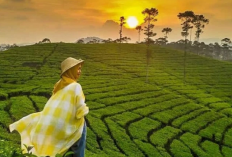 List Destinasi Wisata Unggulan di Cianjur Paling Wajib Dikunjungi