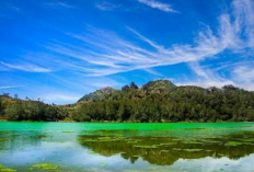 Liburan Penuh Pesona, Sensasi Healing di Negeri di Atas Awan Keindahan Alam dan Rincian Anggarannya
