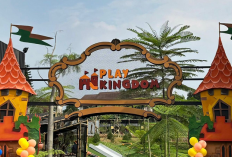 Liburan Hits di Bogor, Info Wahana, Rute, dan Harga Tiket Masuk Play Kingdom Puncak Terbaru