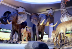 Short Trip ke Batu dari Surabaya, Itinerary Seru 3D2N untuk Liburan Keluarga April 2026