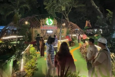 Sensasi Menjelajah Kebun Binatang di Malam Hari, Cek Harga Tiket dan Cara Pesannya