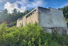 Pergerakan Tanah di Pajangan Bantul Rusak 20 Rumah