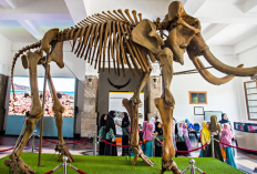 Wisata Edukasi Sejarah Bumi di Museum Geologi Bandung jadi Destinasi Favorit Liburan Keluarga 