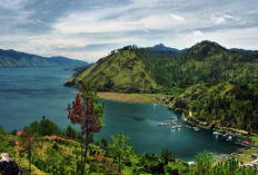 Wisata Kopi Indonesia Terbaik Menikmati Kopi Langsung dari Kebunnya