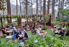 Hidden Gem Kafe Outdoor di Bandung dengan Pemandangan Kota Paling Estetik