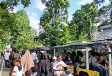 Wisata Edukasi Alam untuk Menikmati Liburan Sekolah di Kebun Raya Bogor dengan Sepeda dan Golf Car