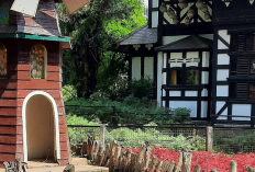 Pelarian Terbaik, Healing Sempurna Wisata di Bandung Paling Hits dan Instagramable 