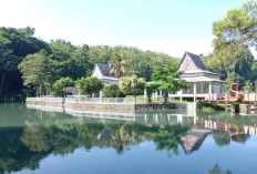 Healing Tanpa Pusing, Permata Tersembunyi Situ Cisamping Jadi Pilihan Simak Ulasan Lengkapnya Disini