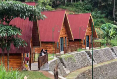 Healing Sempurna di Kulon Progo di Objek Wisata Glamping Glimpang Girimulyo