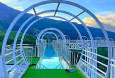 Daftar Harga Tiket Kemuning Sky Hills, Menikmati Sensasi Kebun Teh Karanganyar