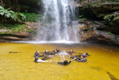 6 Tempat Wisata Unggulan di Daerah Kampar Riau Sajikan Beragam Aktivitas Seru, Simak Disini
