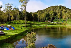 Menjelajahi Pesona Ranca Upas Ciwidey Jadi Daya Tarik Utama Terfavorit di Bandung