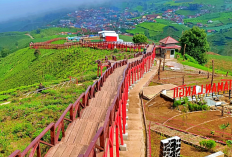 Berasa di Eropa! Ini Destinasi Wisata Ramah Anak di Pangalengan Bandung yang Wajib Masuk List Liburan