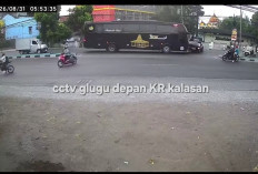 Pick Up Ditabrak Bus, Ringsek dan Nyemplung Parit, Pengendara Selamat