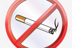 Sleman Dorong GASBRO, Upaya Putus Rantai Stunting dari Asap Rokok