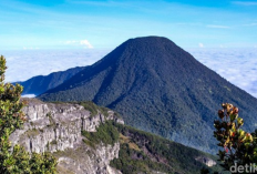 Menaklukkan Puncak Gede Mendaki Cagar Biosfer Dunia bagi Pemula dan Profesional