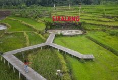 Menguak Pesona Agrowisata Destinasi Favorit Wisata Edukasi dan Alam di Salatiga