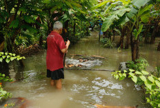Banjir Rendam Sanden Bantul, Warga Dievakuasi Saat Cuaca Ekstrem