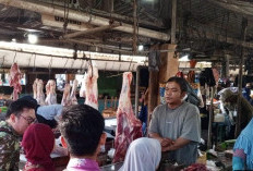 Cegah Peredaran Daging Glonggongan dan Ayam Tiren, Pemkab Brebes Perketat Pengawasan Pangan Hewan