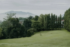 Healilng Terbaik Menjelajahi Ketenangan Kuliner di Uncle D Backyard Bandung