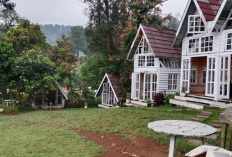 Rekomendasi Tempat Makan Strategis di Sekitar Penginapan Jalur Puncak, Berikut Informasi Selengkapnya