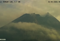  Merapi Erupsi Efusif, BPPTKG Catat 3 Awan Panas Guguran Sepekan