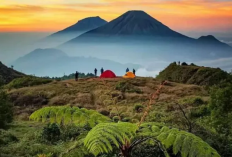 Pesona Gunung Prau Wonosobo, Surga Para Pendaki Pemula dengan Panorama Golden Sunrise