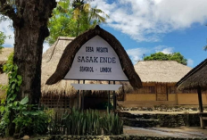 Menyelami Jejak Kekayaan Budaya Suku Sasak di Kampung Adat Ende Lombok Tengah