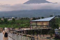 Harga Tiket Malang Skyland Mei 2026, Wisata Instagramable dengan Sky Bridge Terpanjang 