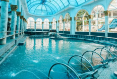 Bersatu dengan Alam, Menikmati Sejuknya Penginapan Eksklusif di Lembang Cek Info Selengkapnya Berikut Ini