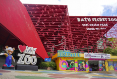 Informasi Lengkap Harga Tiket Masuk Jatim Park 2 Terbaru Untuk Wisata Keluarga 