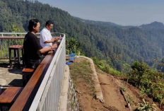 Tempat Nongkrong Estetik di Hutan Pinus Desa Tombo Paling Wajib Dikunjungi di Batang