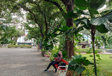 Menelusuri Sudut Estetik dan Bersejarah di Sekitar Stasiun Pasar Senen, Solusi Liburan Hemat 
