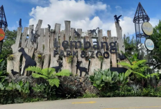 Wisata Edukatif dan Seru Indah Untuk Dijelajahi Pesona Lembang Bandung, Cek Info Selengkapnya Disini