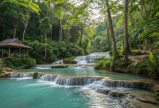 Daftar Destinasi Unggulan di Kabupaten Banggai Dari Ketinggian Bukit Sampai Dasar Laut