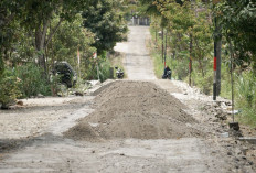 Bupati Endah Sidak Proyek Jalan Gunungkidul, 25 Km Ditangani dengan Anggaran Rp40 Miliar