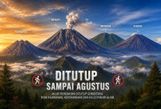 Info Penting! Sejumlah Gunung Tutup Jalur Pendakian hingga Agustus 2026, Termasuk Merapi Masih Dilarang
