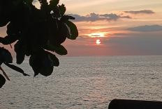 Daftar Ide Liburan Eksklusif dan Seru di Kota Manado, Cek Referensi Selengkapnya Berikut Ini