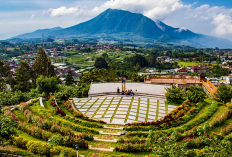 Keindahan dan Kesejukan Destinasi Unggulan di Kawasan Wisata Kopeng