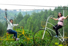 Nikmati Wisata Alam Tanpa Antre, Strategi dan Cara Booking Tiket Dago Dreampark 