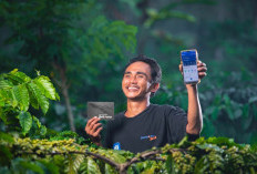 BRI Salurkan KUR Rp65,95 Triliun Bagi 558 Ribu Petani dan 23 Ribu Nelayan, Konsistensi Dukung Ketahanan Pangan