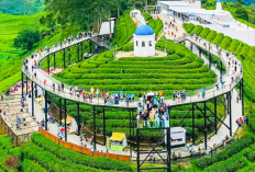 Eksplorasi Spot Wisata Terpopuler Bandung 2026 Dari Alam hingga Wahana Modern